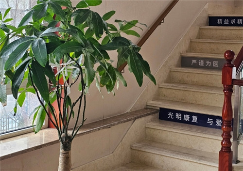 大連中愛眼科環(huán)境圖2