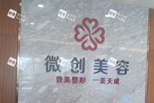 淄博壹美整形LOGO名稱示意圖