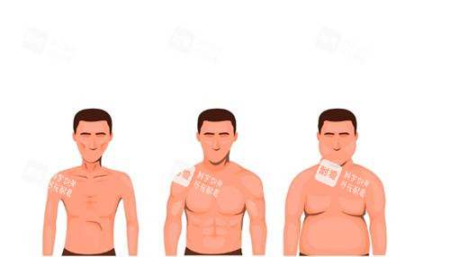 男性乳房肥大示意圖