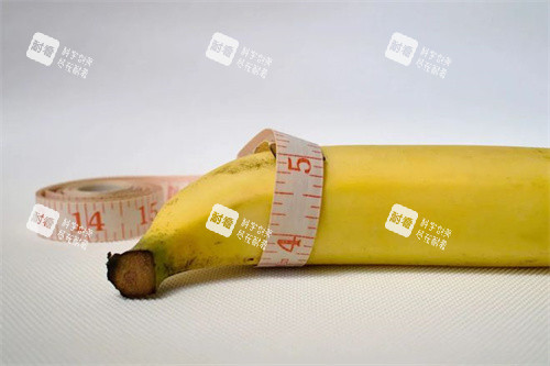 陰莖細(xì)香蕉展示圖