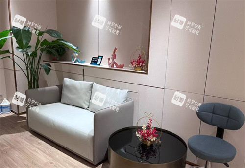 石家莊美萊美容醫(yī)院沙發(fā)