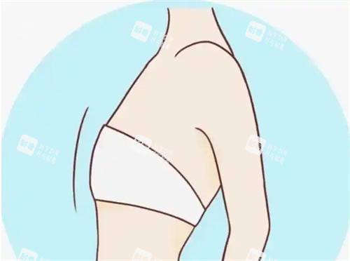 平胸動(dòng)畫(huà)展示圖