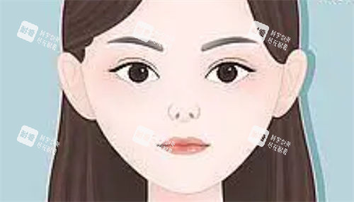 朝天鼻正面動畫展示圖