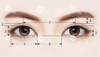 眼睛美學(xué)標(biāo)準(zhǔn)