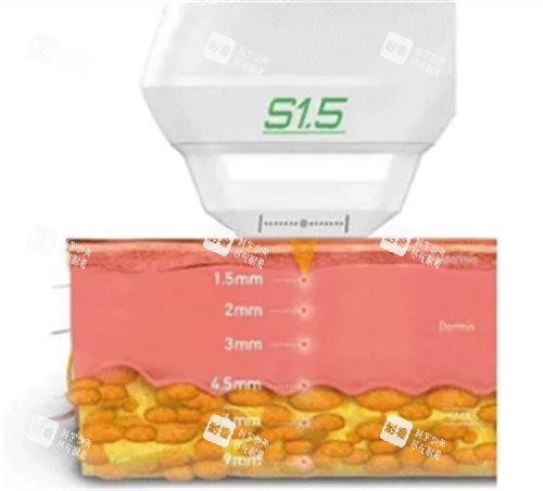 雙逆博士可以深入的皮膚層次圖解 雙逆博士可以深入的皮膚層次圖解