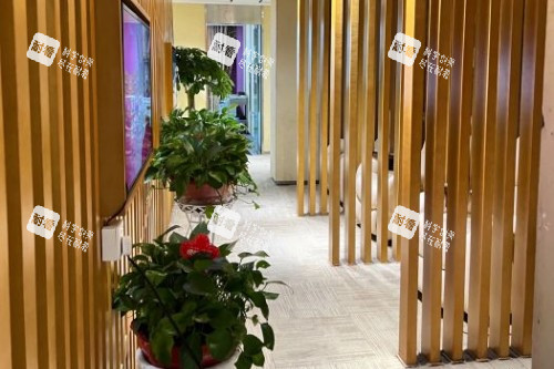 長沙藝星整形走廊