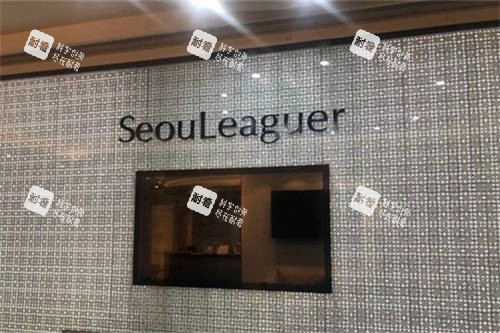 上海首爾 麗格醫(yī)療美容醫(yī)院品牌墻