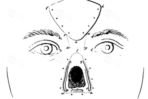 鼻再造術前設計