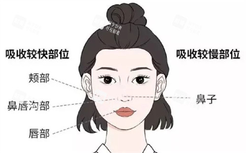 饅化臉修復(fù)方法 饅化臉修復(fù)方法