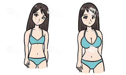 隆胸前后對(duì)比卡通