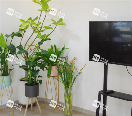 鄭州美麗臻醫(yī)療美容等候區(qū)