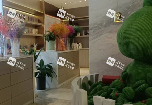 哈爾濱瑞麗醫(yī)療美容內(nèi)部一角環(huán)境