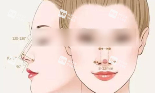 隆鼻標(biāo)準(zhǔn)對比