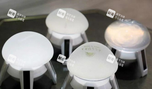 傲諾拉假體圖片