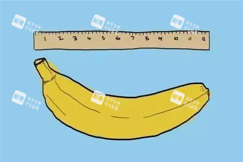 男性私密卡通圖片