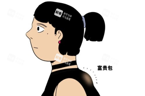 富貴包卡通圖片展示 富貴包卡通圖片展示