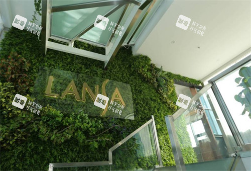 保定藍(lán)山醫(yī)療美容醫(yī)院樓梯