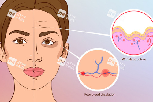 深圳劉冰玉醫(yī)生簡介:坐診伽美貝拉雙院區(qū),注射微整審美在線!