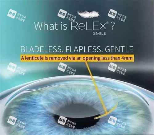 全飛秒動(dòng)畫(huà) 全飛秒動(dòng)畫(huà)