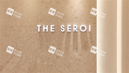 韓國(guó)theseroi整形外科LOGO 韓國(guó)theseroi整形外科LOGO