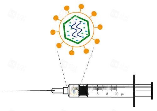 拒絕注射的不明注射物