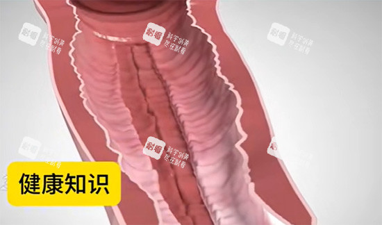 陰道緊縮針原理圖片 陰道緊縮針原理圖片