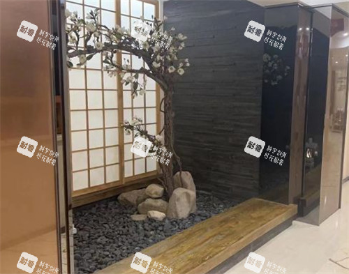 鞍山燕麗整形環(huán)境圖