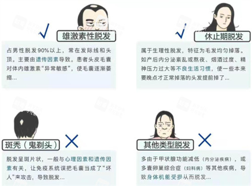 hbw毛囊克隆適應(yīng)人群圖解