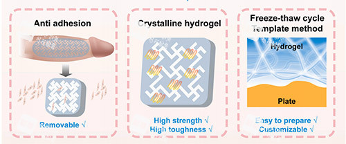 生物補(bǔ)片增大增粗照片