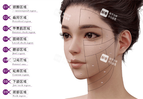 維密金雕治療部位