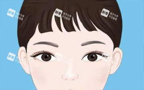 雙眼皮展示 雙眼皮展示