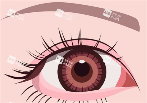 雙眼皮動(dòng)畫圖 雙眼皮動(dòng)畫圖