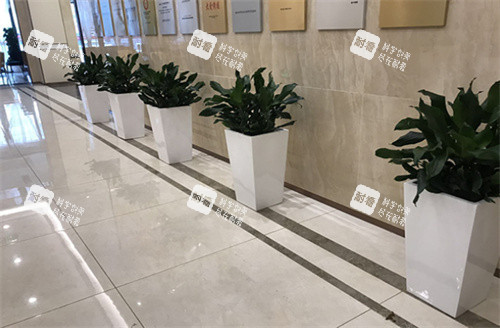 煙臺壹美天成整形環(huán)境 煙臺壹美天成整形環(huán)境