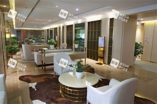 成都華美紫馨休息區(qū)一角一覽圖