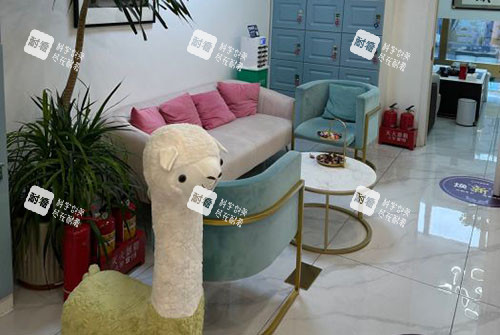 大連未萊醫(yī)療美容休息區(qū) 大連未萊醫(yī)療美容休息區(qū)