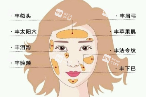 自體脂肪面部填充卡通圖